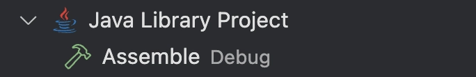 Assemble Debug